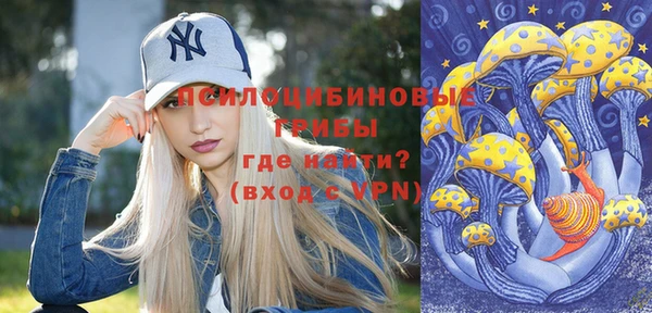 mix Пересвет