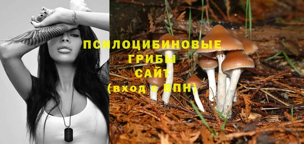 тгк Переславль-Залесский
