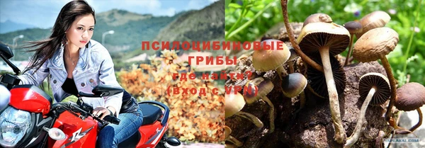 МДМА Осинники